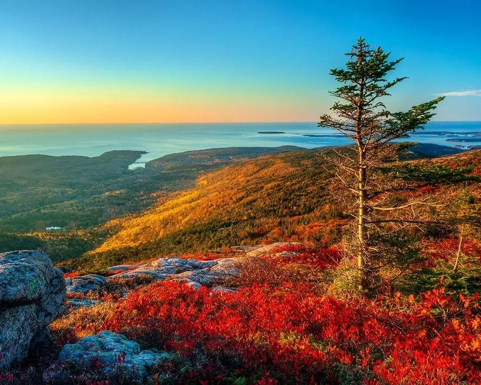 Dag 5 - 6 Bar Harbor ME