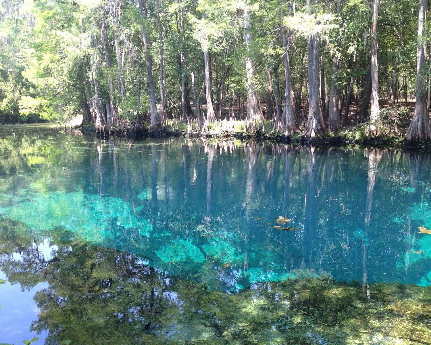 Dag 14 - 16 Crystal River FL