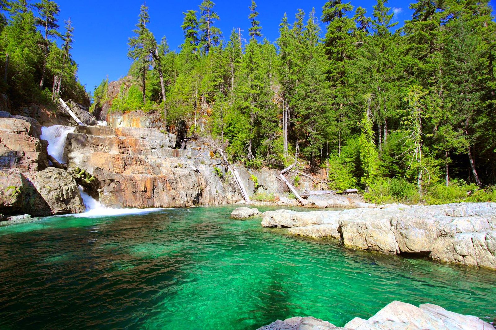 Dag 14 - 15 Campbell River - British Columbia 