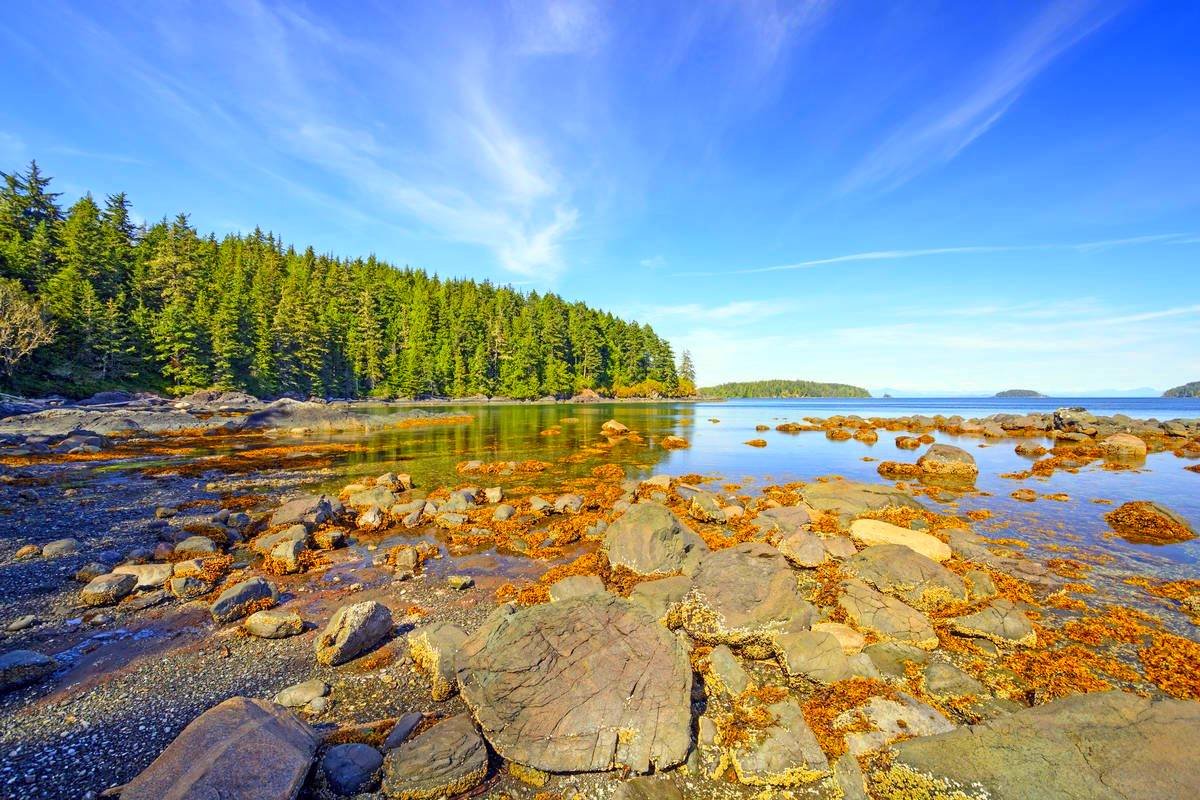 Dag 13 - 14 Port Hardy - British Columbia 