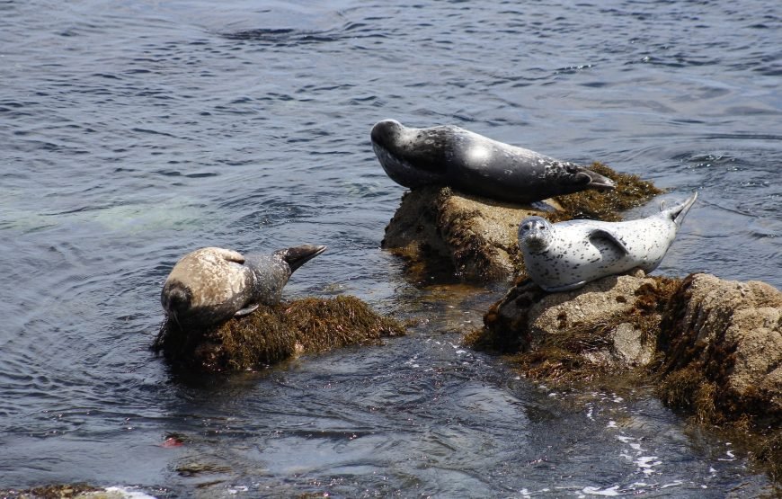 Hoogtepunten van California