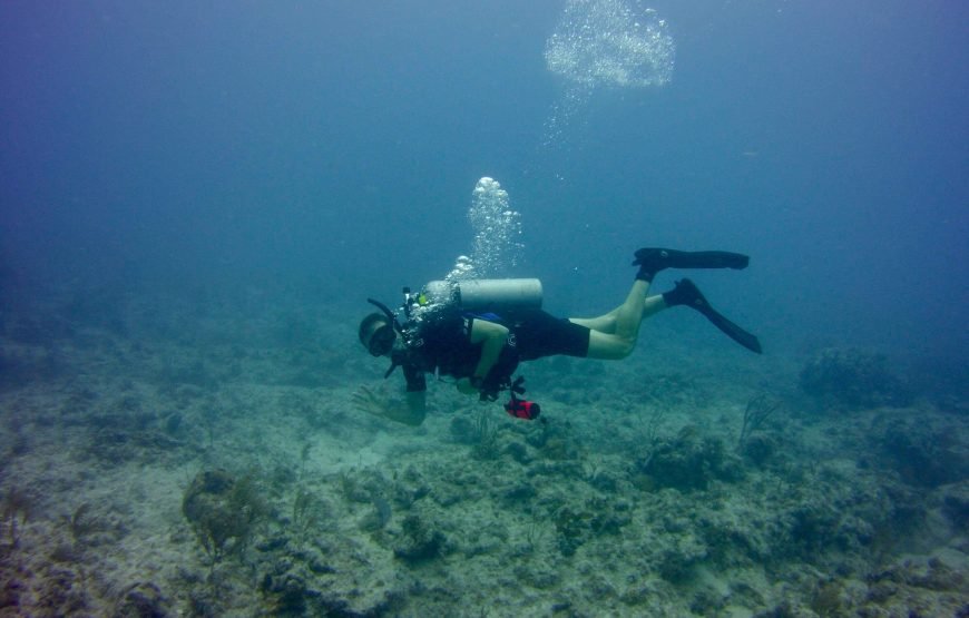 Florida: steden en strand