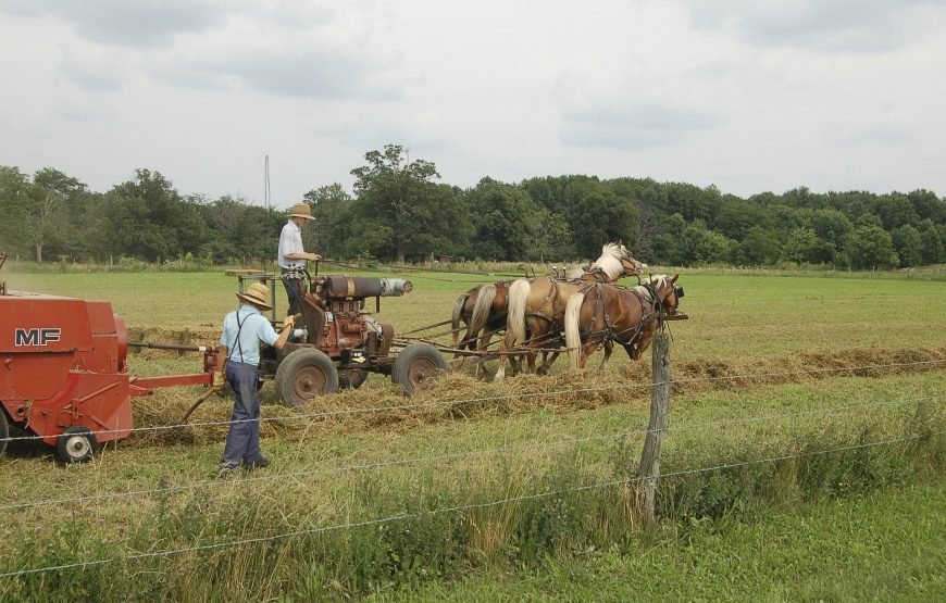 Noordoost-Amerika en Oost-Canada
