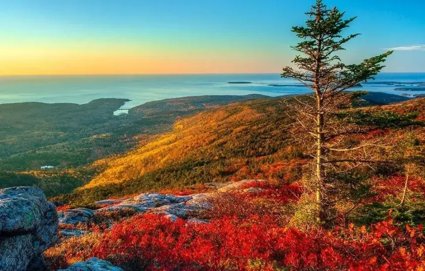 Fly & Drive Noord-Oost USA + Canada