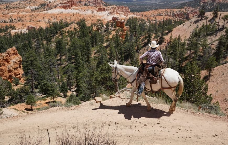 Fly & Drive Cowboys en Indianen | West USA