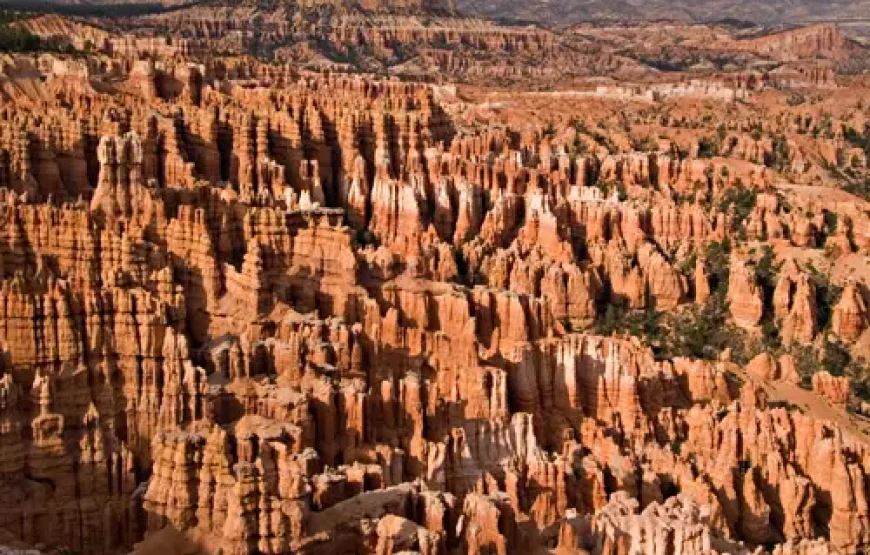 Familiereis Vegas en Nationale Parken