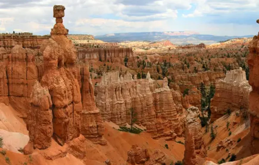 Familiereis Vegas en Nationale Parken