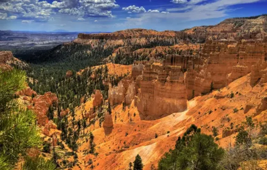 Familiereis Vegas en Nationale Parken