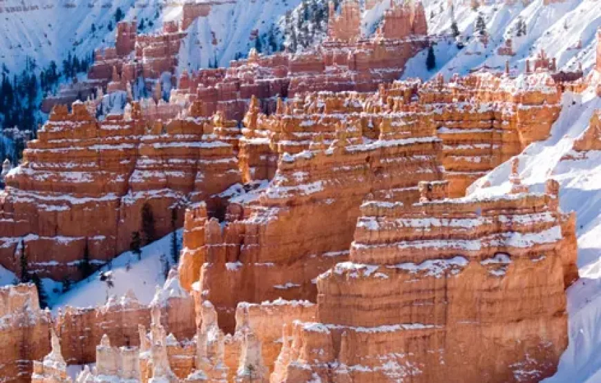 Familiereis Vegas en Nationale Parken