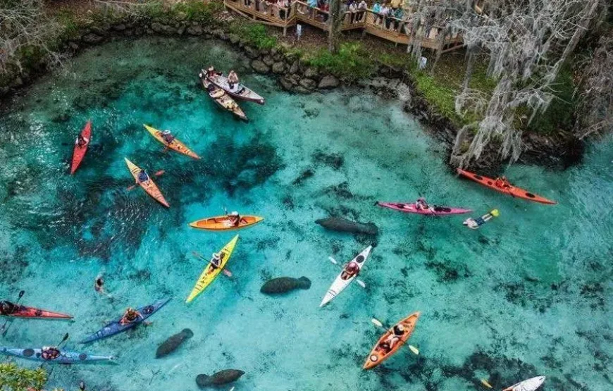 Fly & Drive Kids en Florida