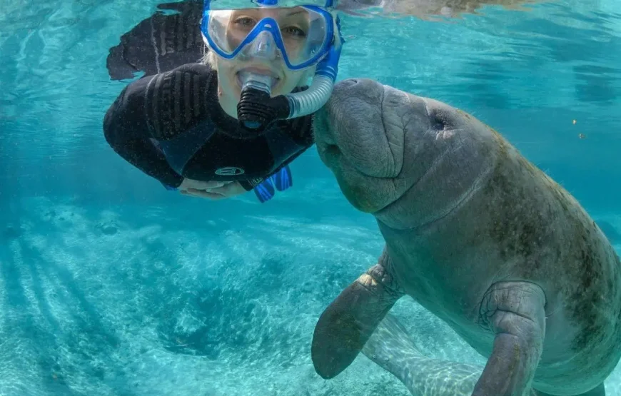 Fly & Drive Kids en Florida