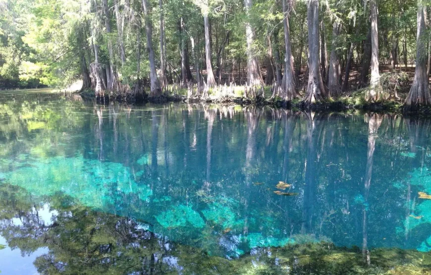 Fly & Drive Kids en Florida