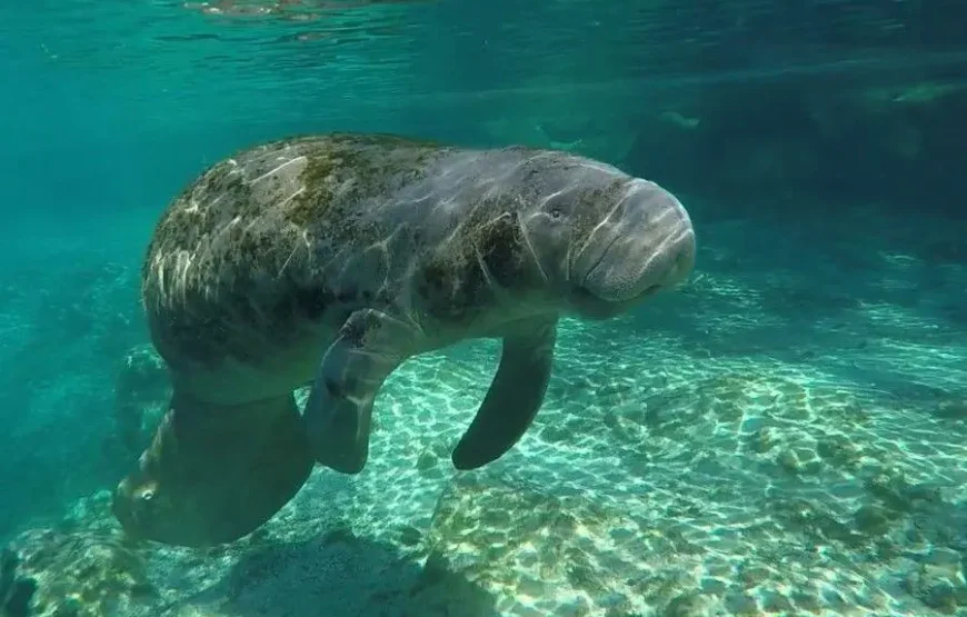 Fly & Drive Kids en Florida