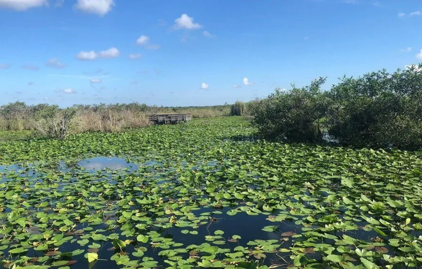 Fly & Drive Kids en Florida