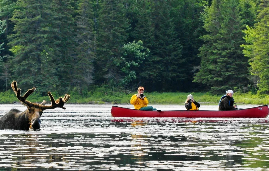 Fly & Drive Great Lakes | Canada & USA