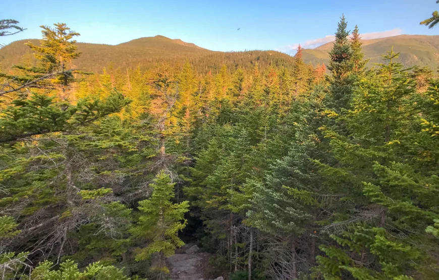 Fly & Drive Indian Summer