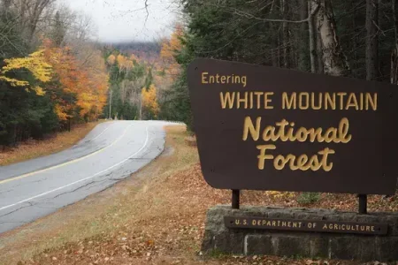 Jackson White Mountain National Forest