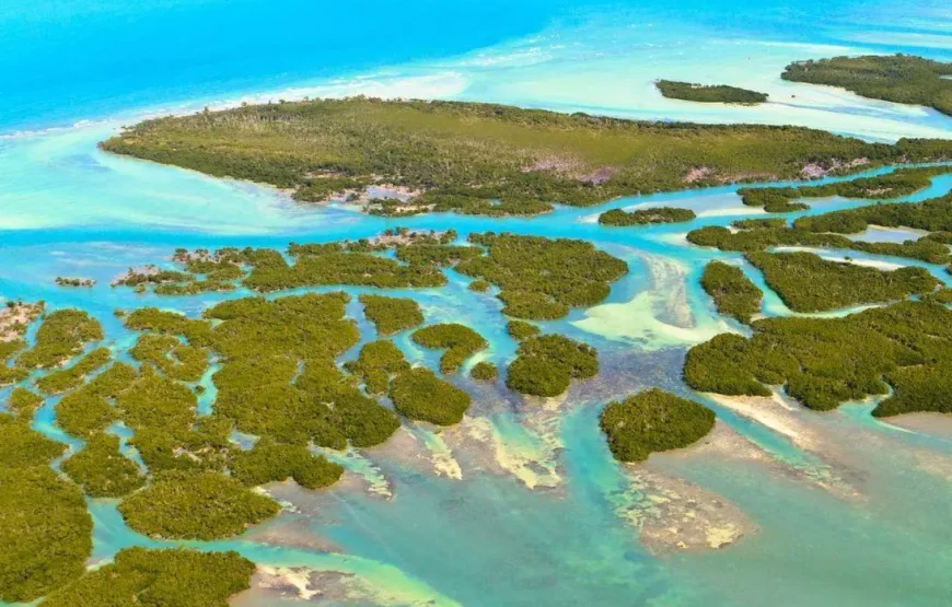 Fly & Drive Kids en Florida