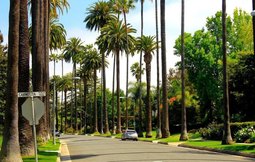 Fly & Drive De Panoramas | West USA