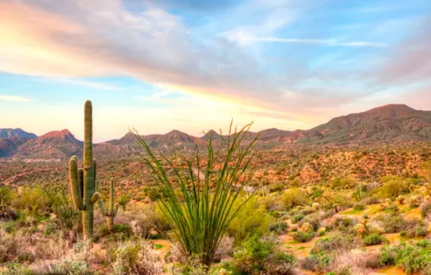 Fly & Drive Cowboys en Indianen | West USA