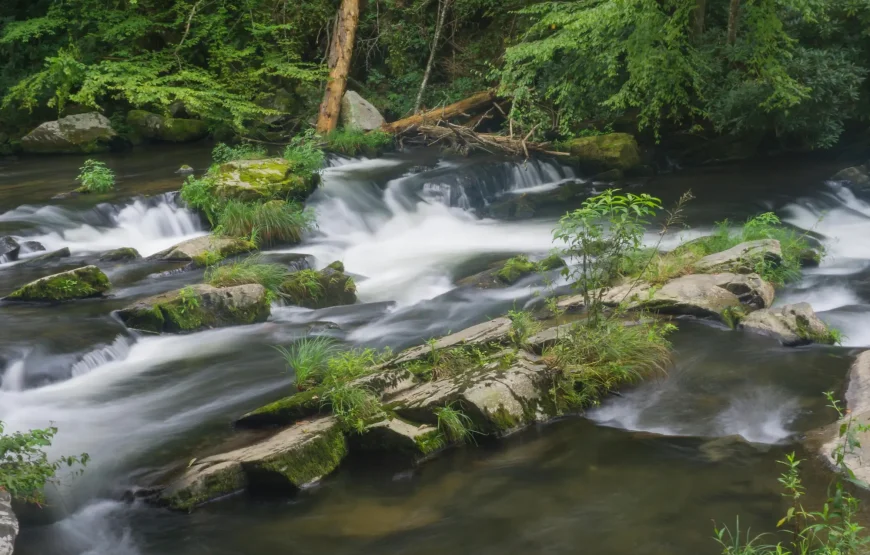 Fly & Drive Indian Summer