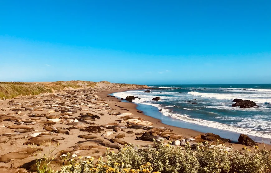 Fly & Drive De Panoramas | West USA