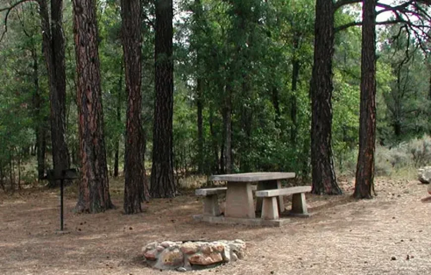 Familiereis Vegas en Nationale Parken