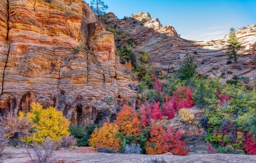 Fly & Drive Cowboys en Indianen | West USA